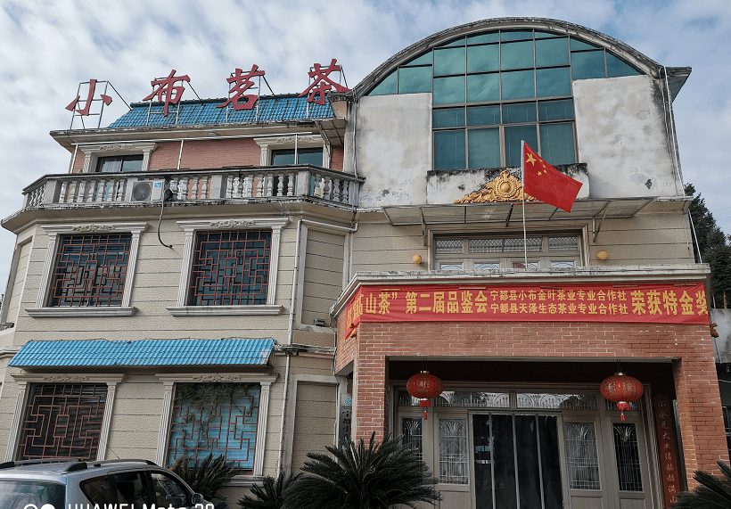 生态精华 小布茗茶_加工_品牌_温勤生