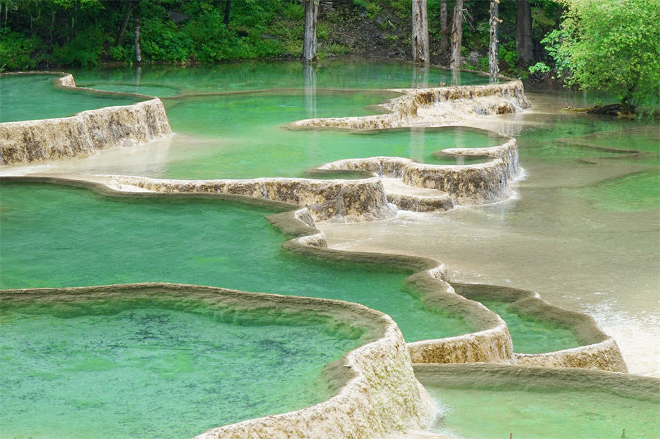 原创四川黄龙钙化池用水溶液塑造的梦幻和童话
