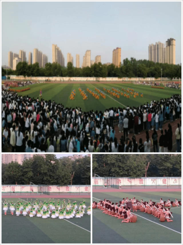 南阳幼儿师范学校举办2022年职业教育活动周启动仪式