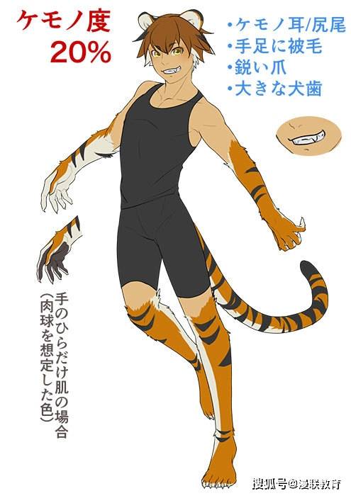 【动物】野兽的绘制方法!_人类_造型_角色