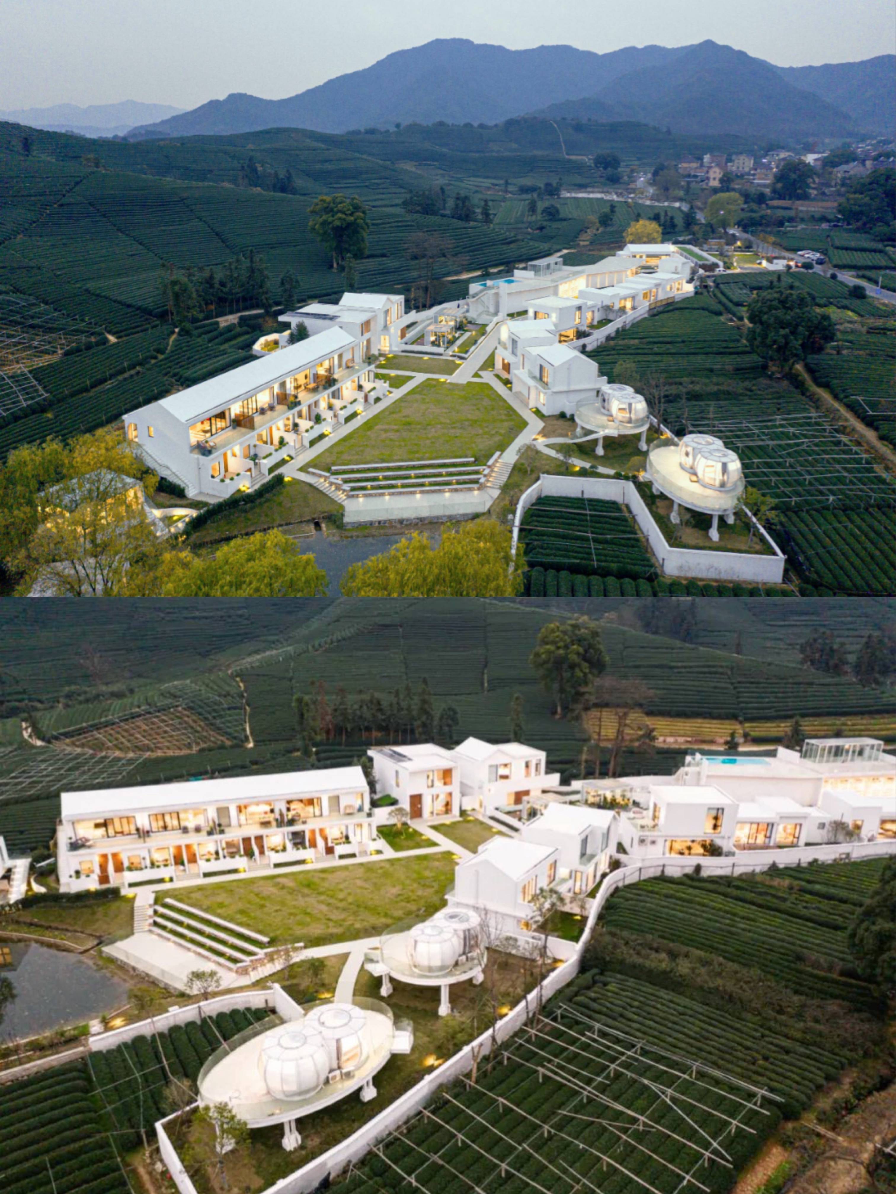 杭州旅游隐匿于茶园秘境中的乌托邦