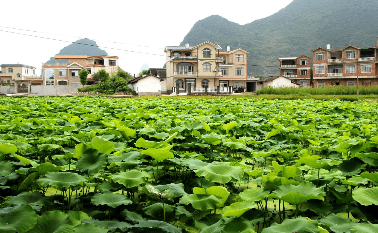 荔浦十三个乡镇图片