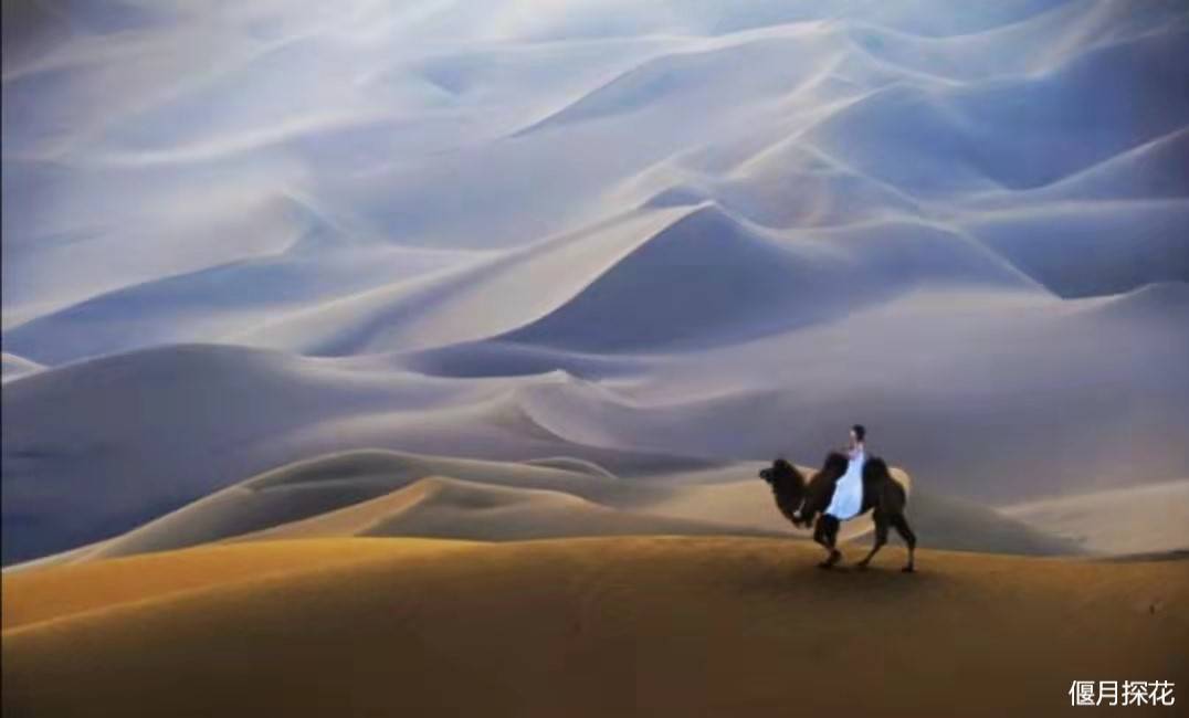 武侠相忘于江湖未若最初即是陌路