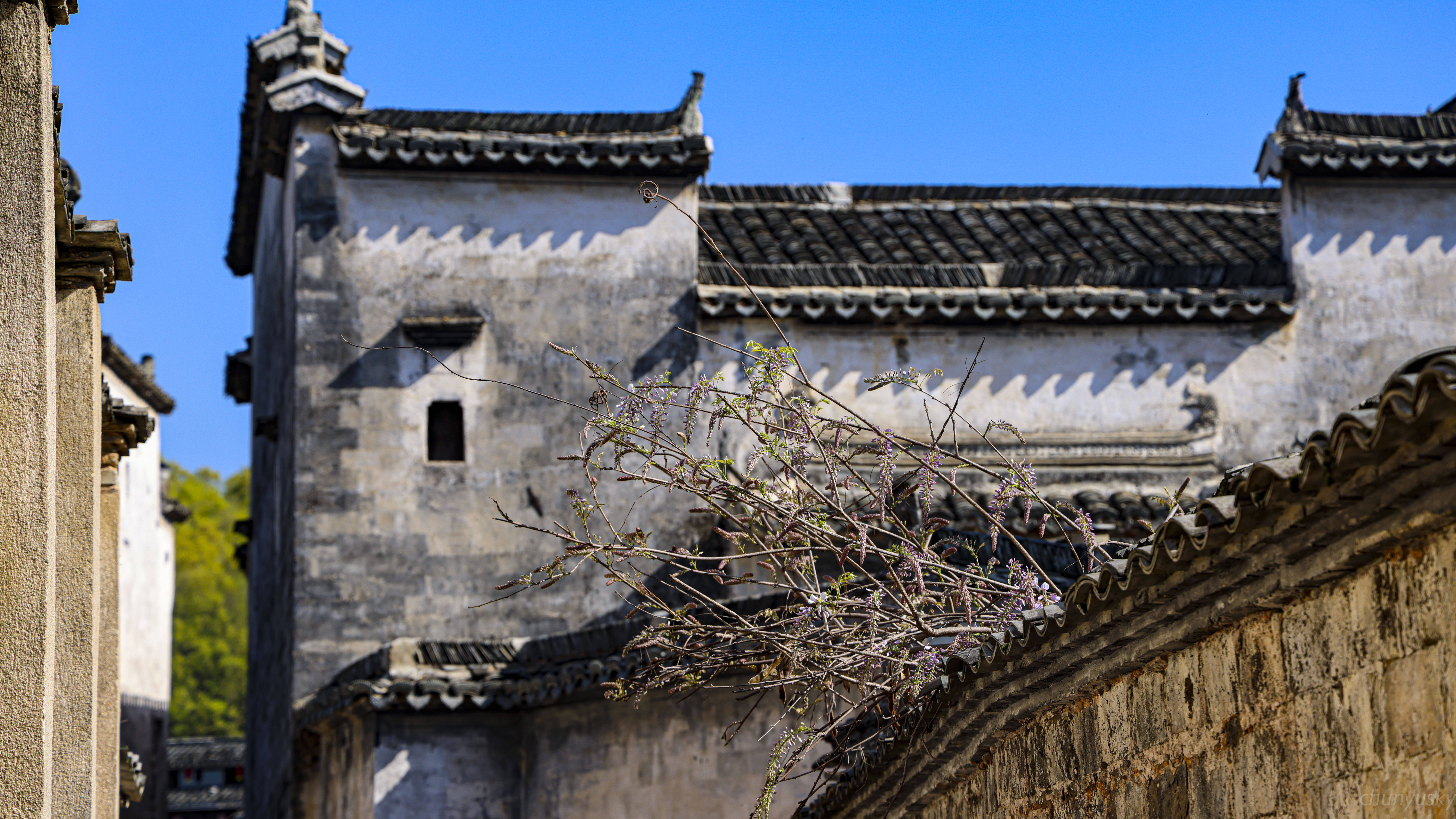 卧虎藏龙宏村取景图片