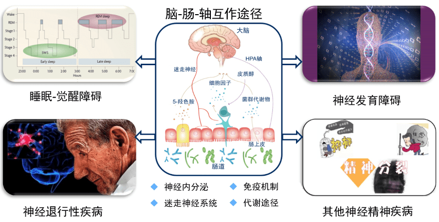 益生菌就能让我快乐倍释忧精神益生菌了解一下