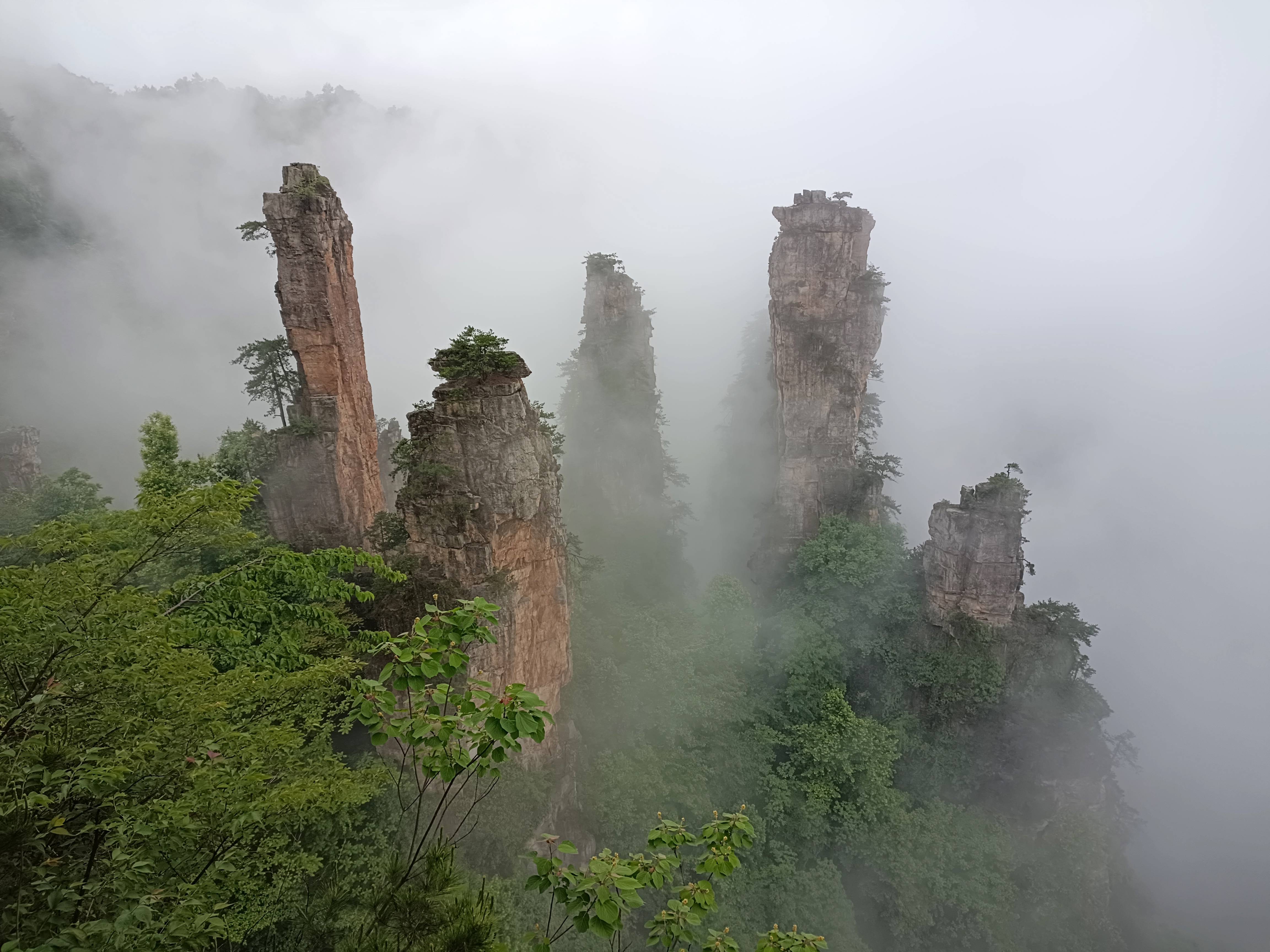 天子山云海图片