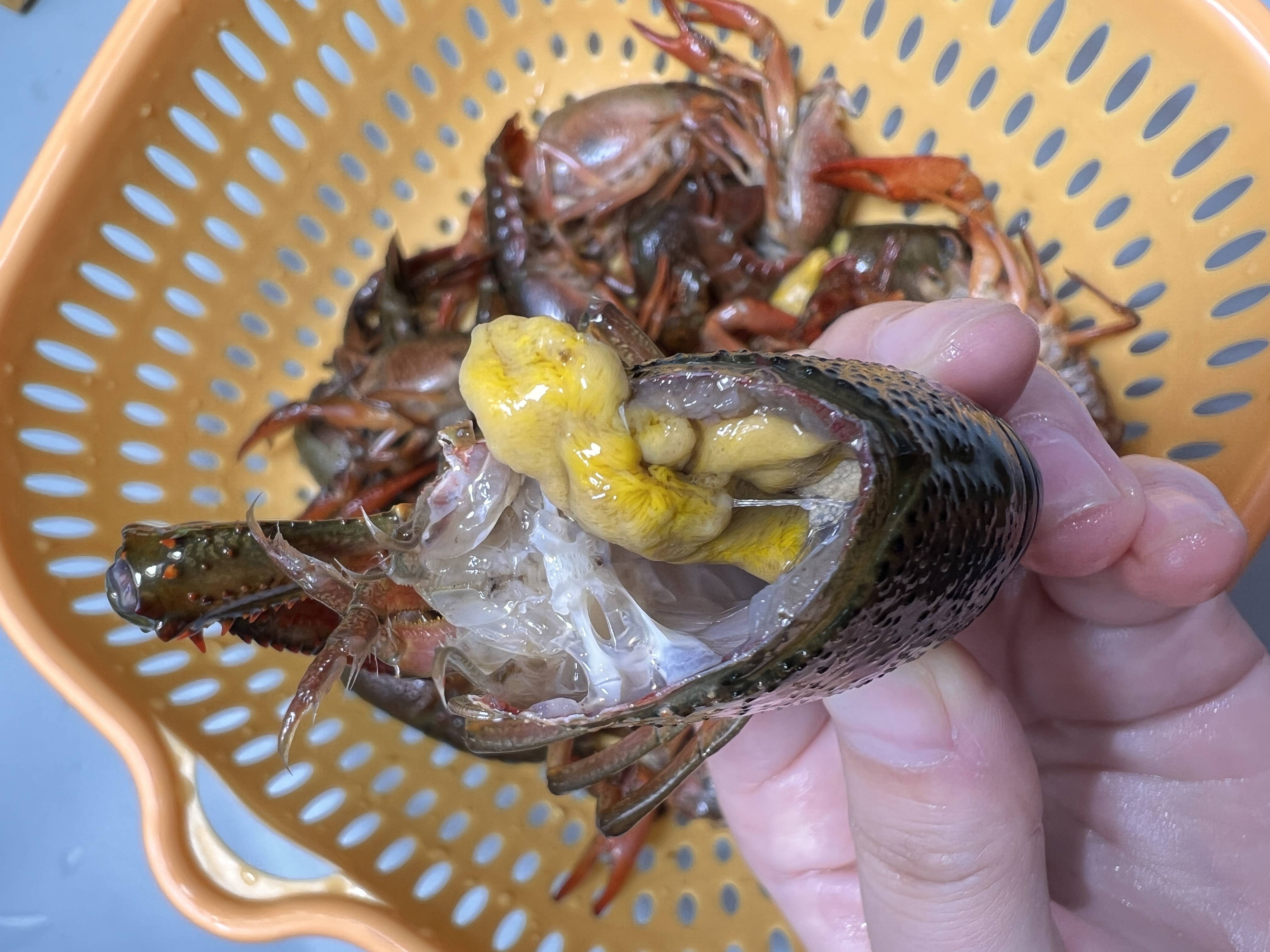 小龙虾的虾黄和头到底能不能吃?