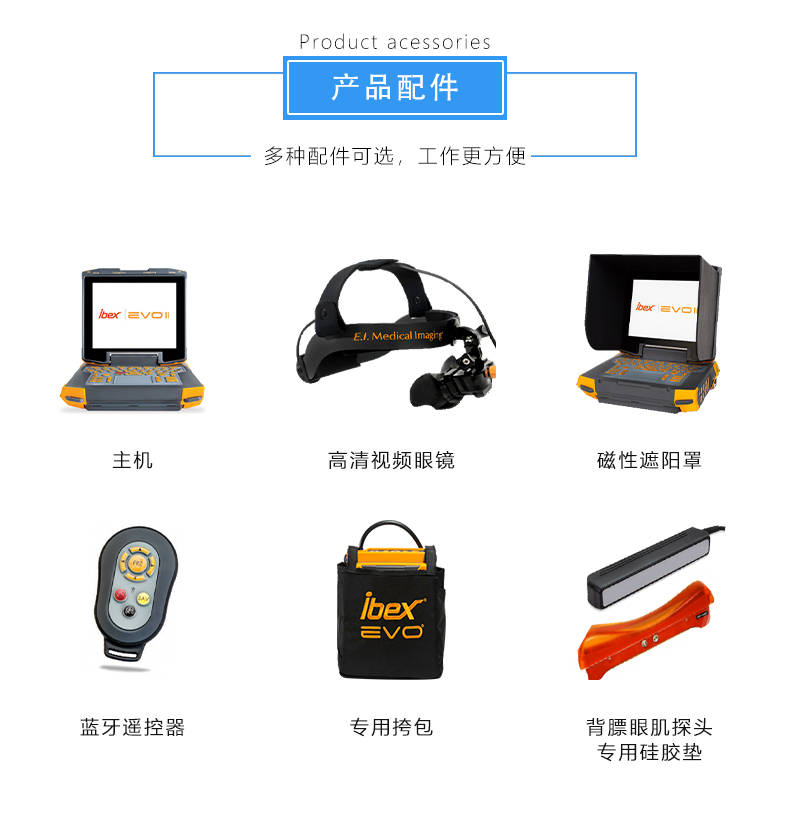 牛用B超检测肉牛背膘眼肌面积、肌内脂肪超声图像和方法
