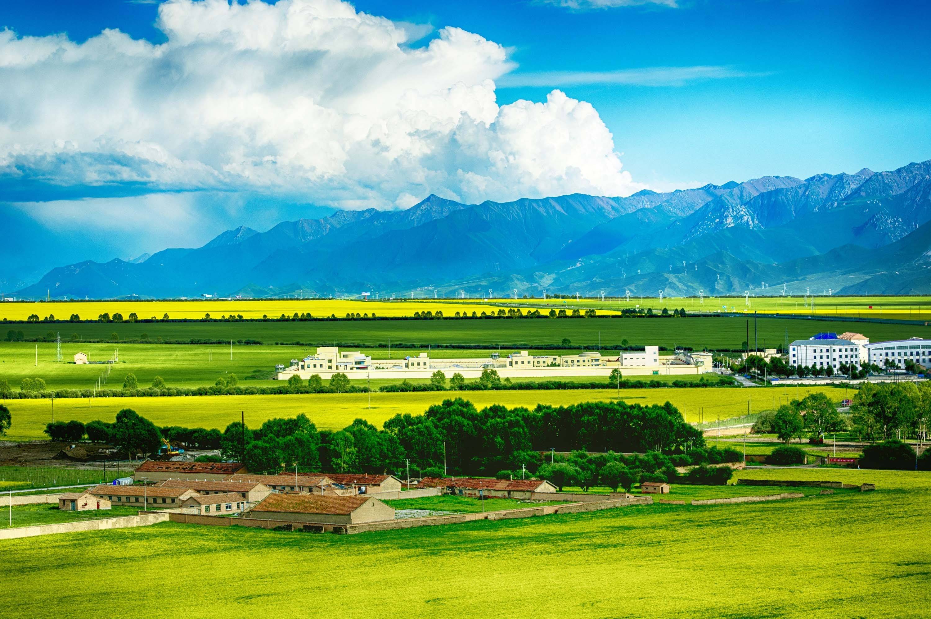 说出你的图片故事摄影师刘虎平油菜花海