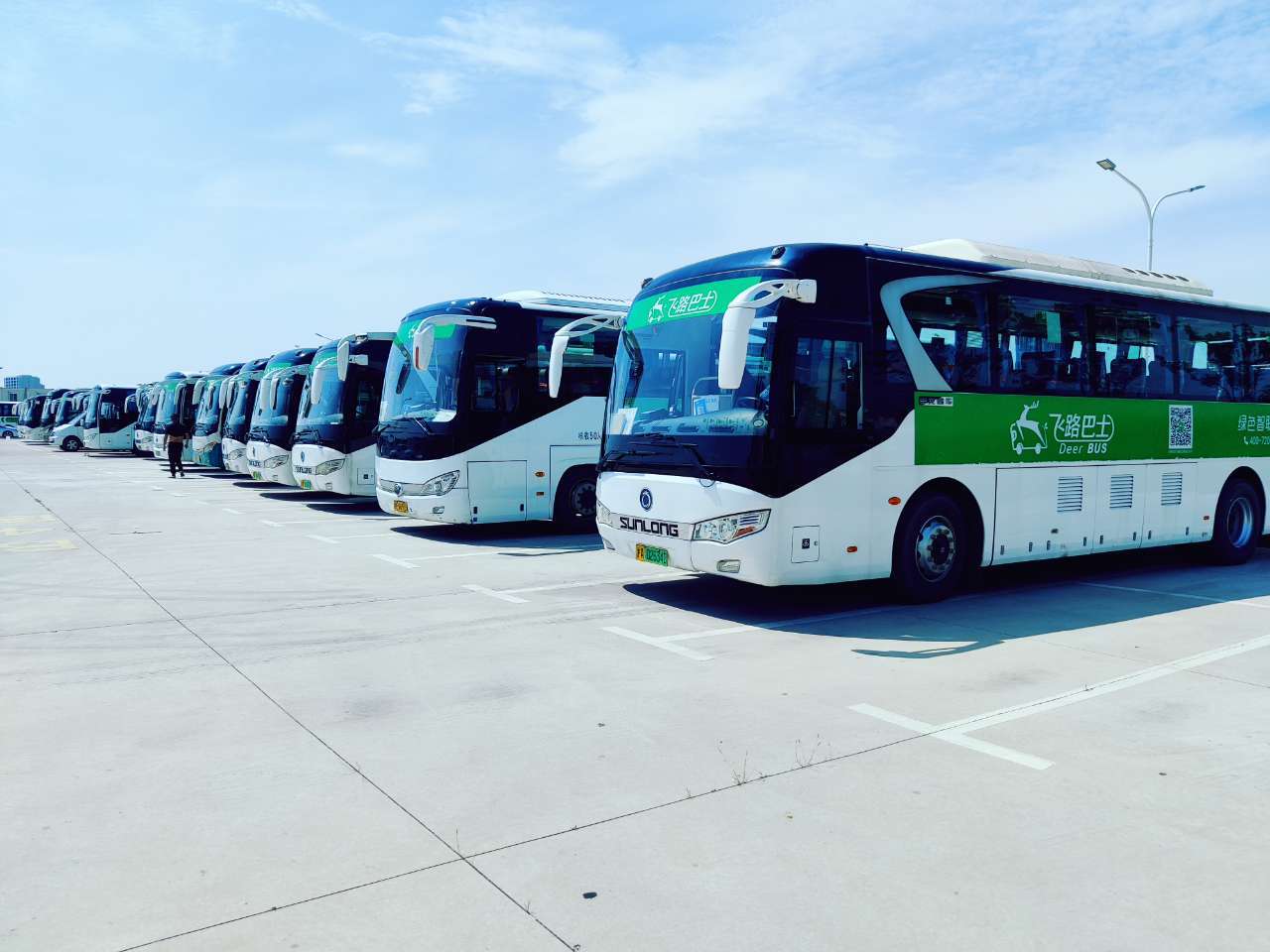 高油价后疫情时代飞路巴士你值得拥有