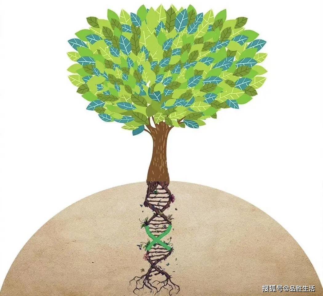 青年干部要学会向下扎根与向上生长