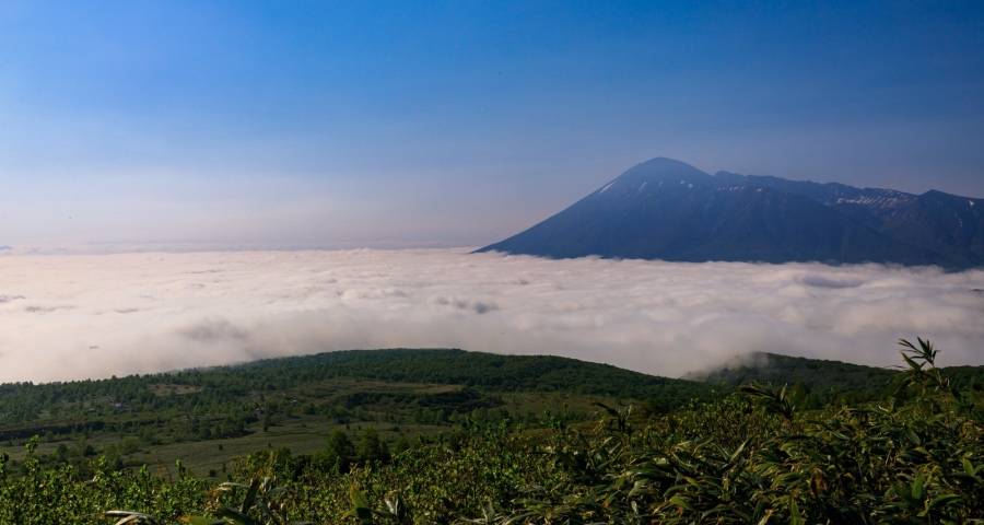 拿低价卖产品的家电企业正在出局-家电圈官网
