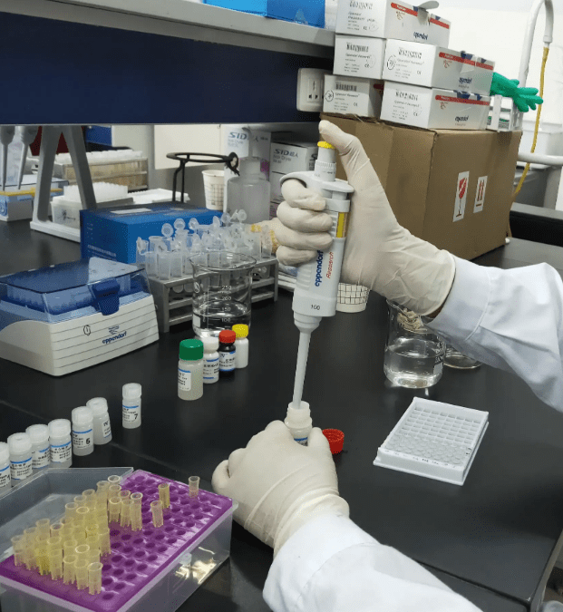 牧高质量:样品分析稀释步骤_ml_标准_合成