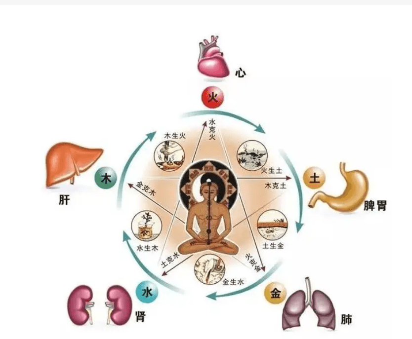 名医专家团罗四民表示中医调理讲究整体观念