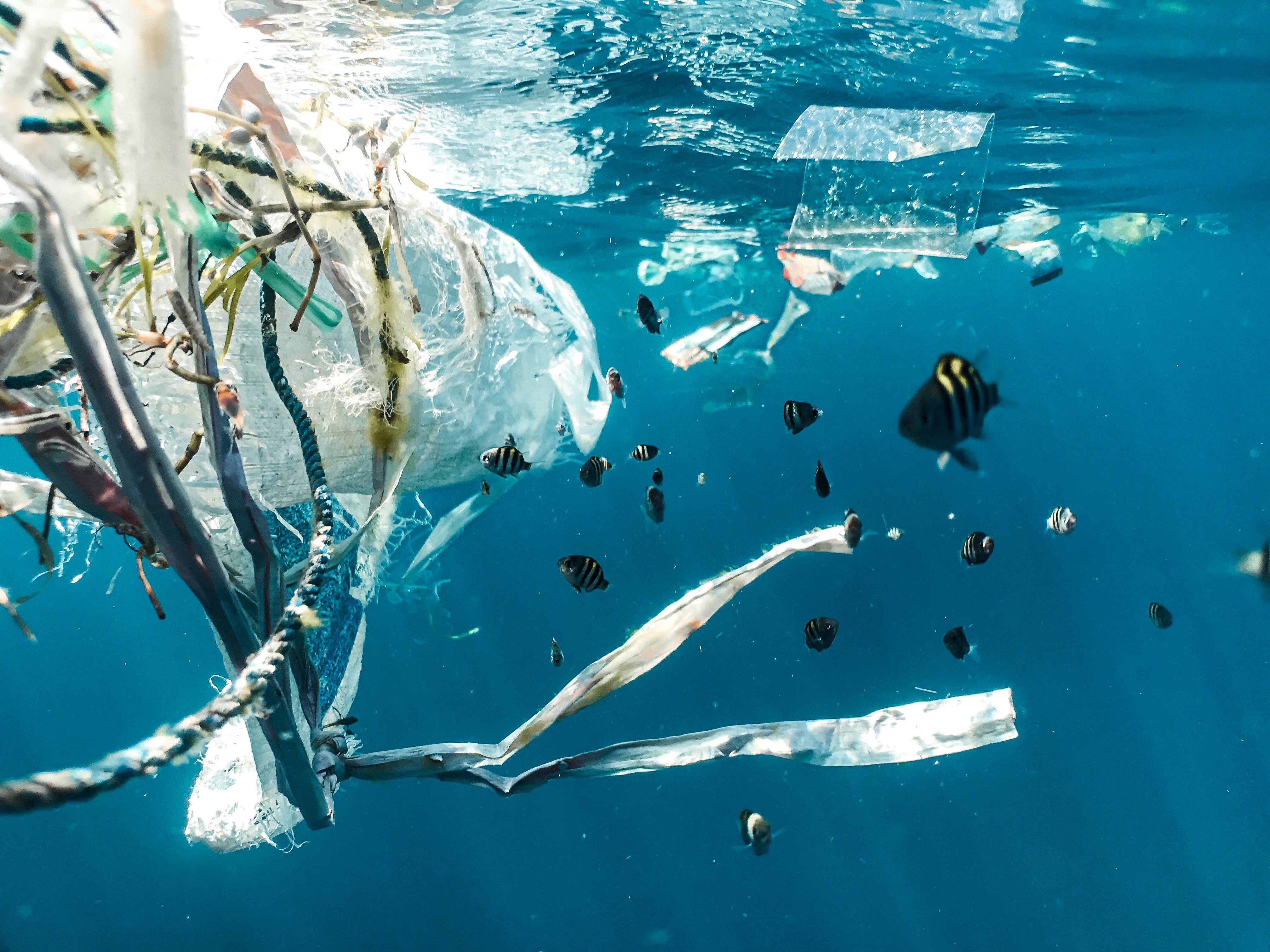 塑料危害海洋健康看塑料垃圾清洗造粒系统如何保障垃圾回收