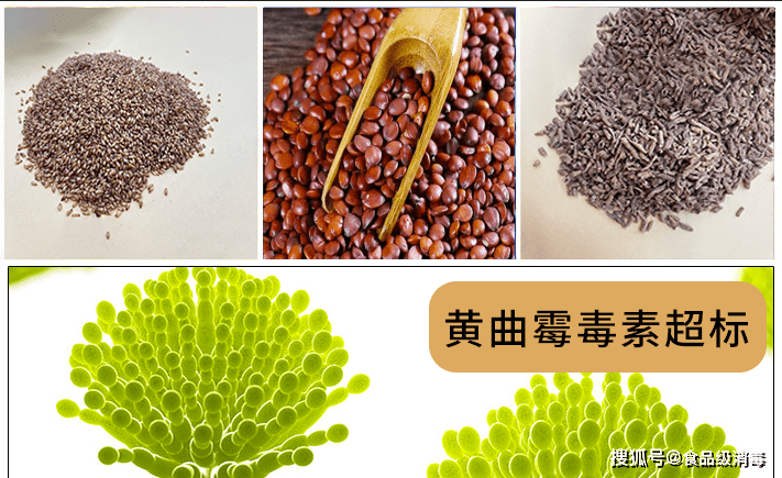 中药材出现黄曲霉毒素超标原因药材种植植物病害黄曲霉毒素及农残问题