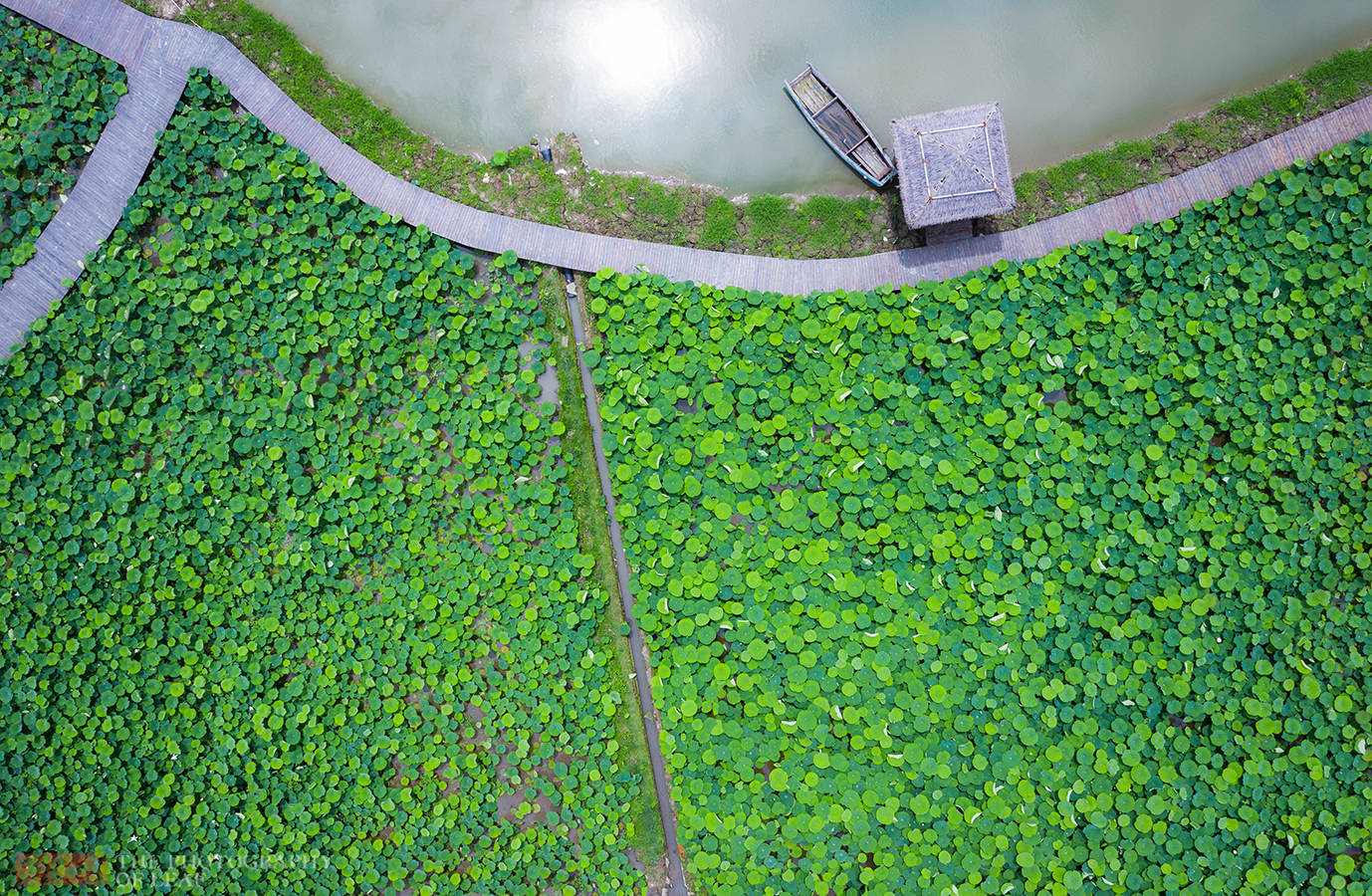 有山有海有海鲜,还有华东最大的荷花池,这个暑假就去浙江象山玩