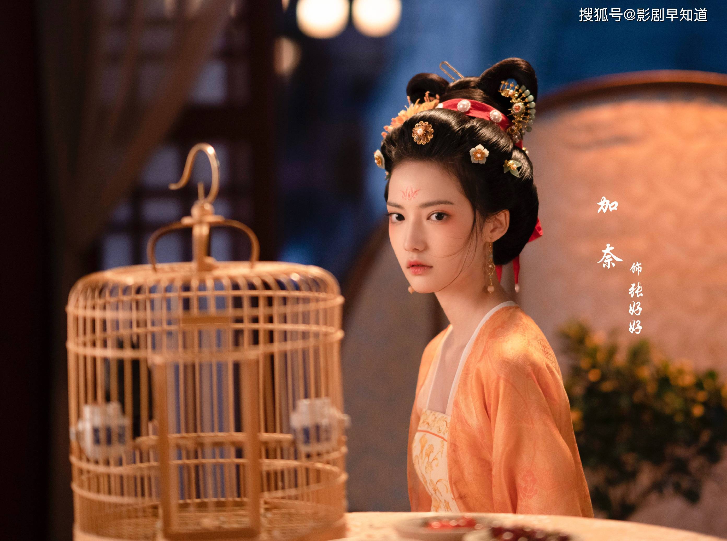 原创梦华录张好好退休嫁给鳏夫当妾已是最好的结局