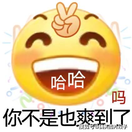 搞笑段子搞笑小黄脸表情包给你个机会得到我