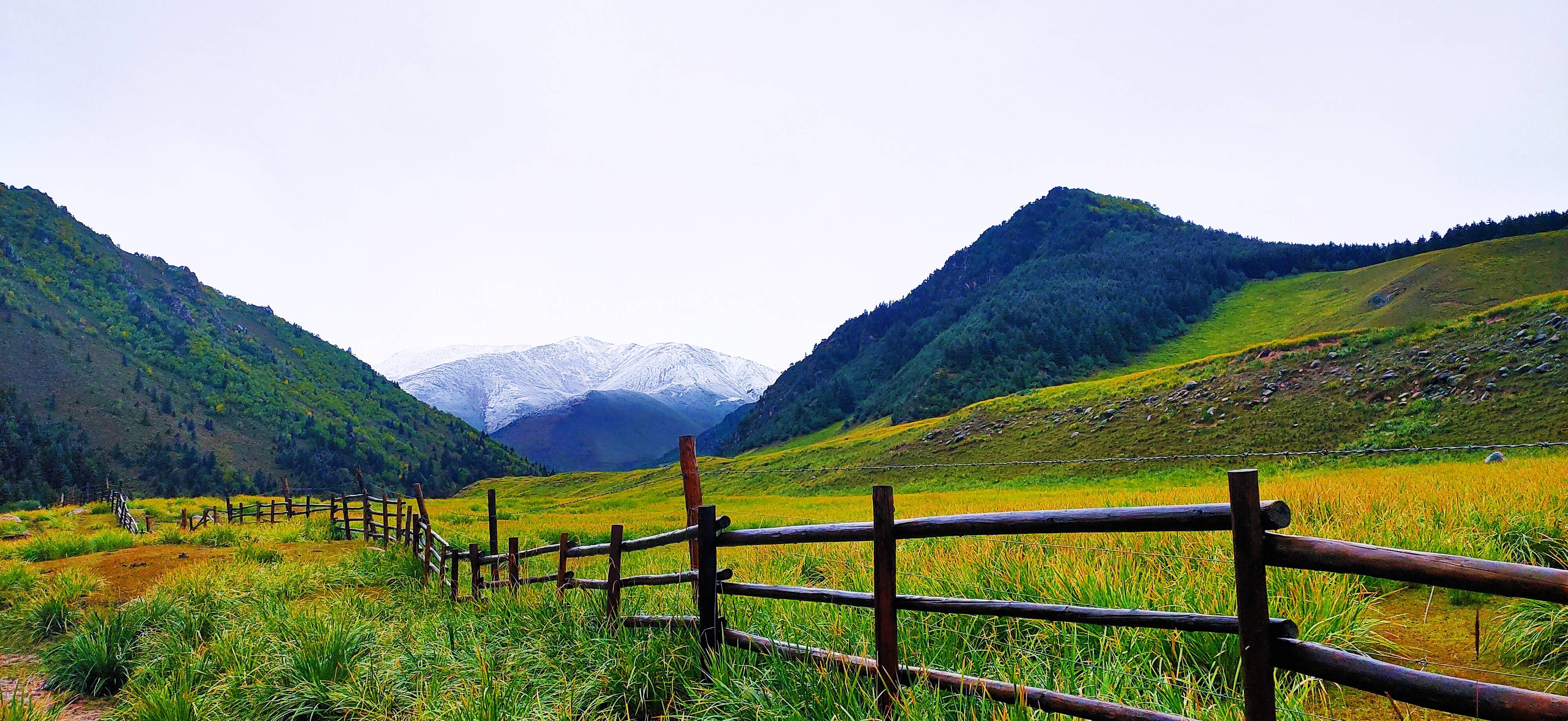 祁连山冰沟河景区图片