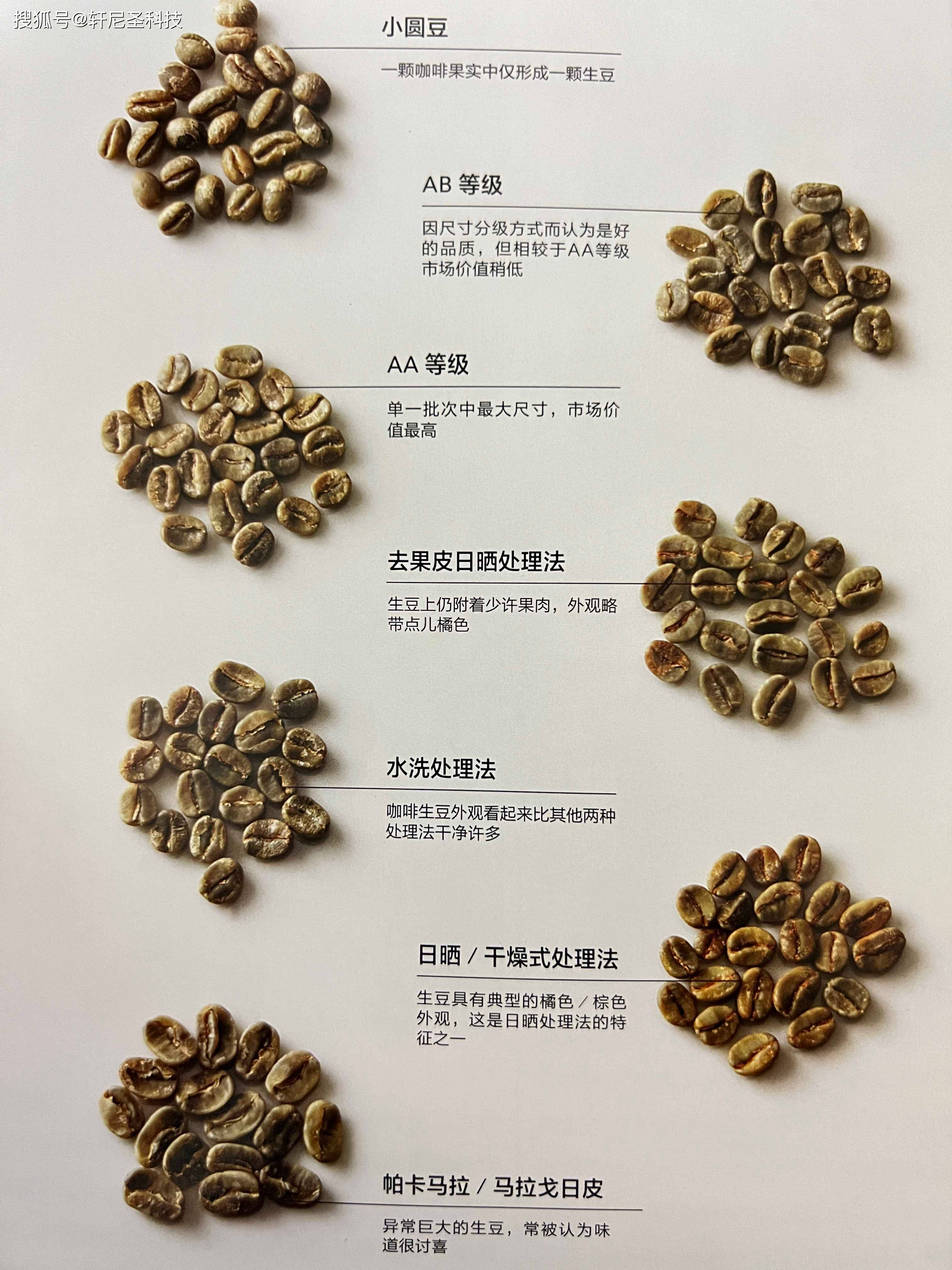 大家都知道咖啡豆是怎么生产出来的吗?_henning_果肉_果实