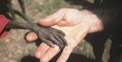 世人欠摄影师一句道歉,当年饿得只剩皮包骨的孩子,结局怎样?