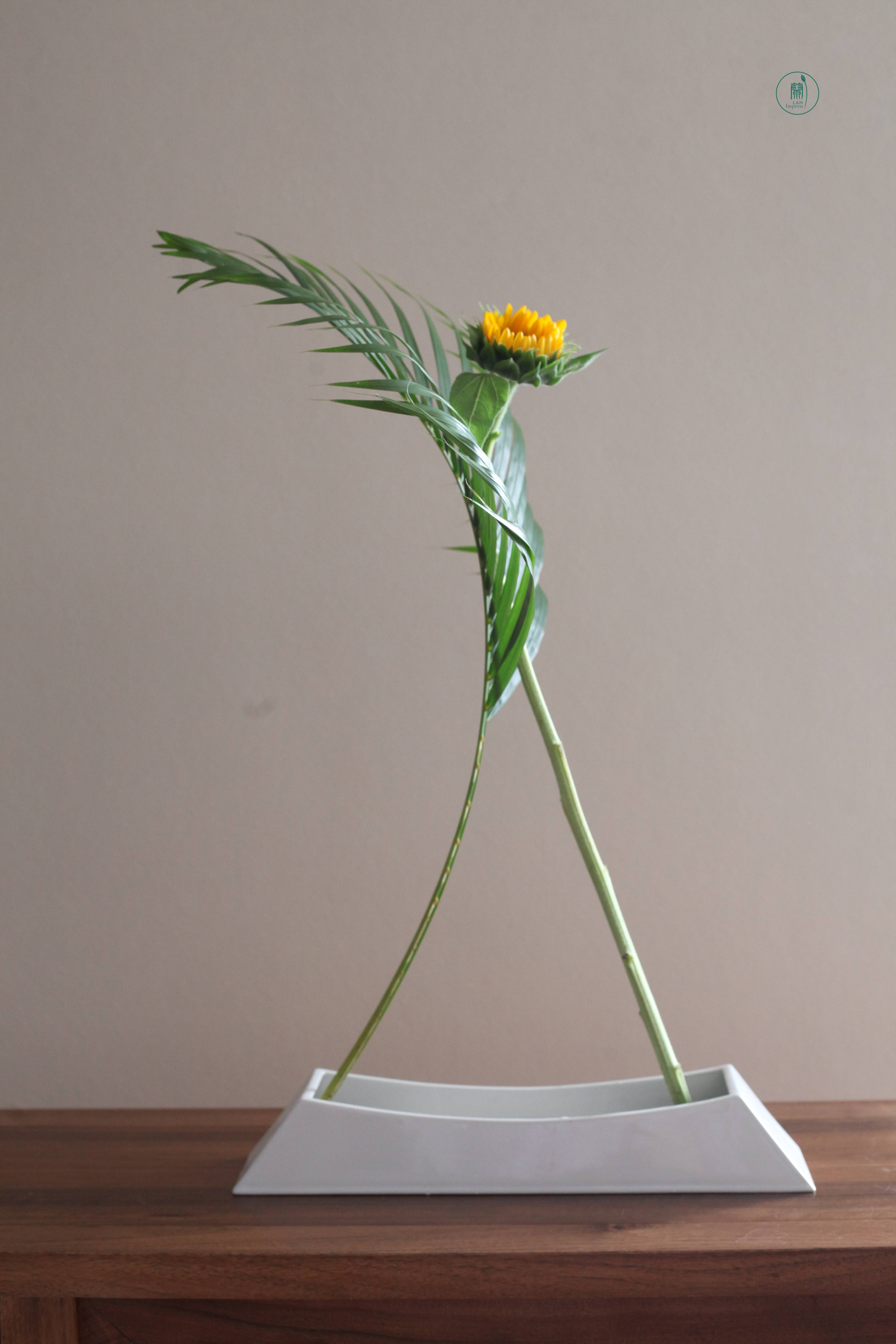 西安蘭印象小原流花道|生活美学课堂