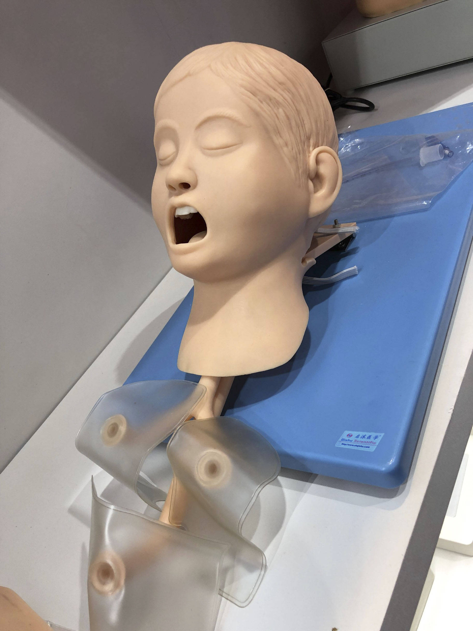 气管插管操作示教模型 电子人体气管插管训练模型_功能_可进行_鼻腔