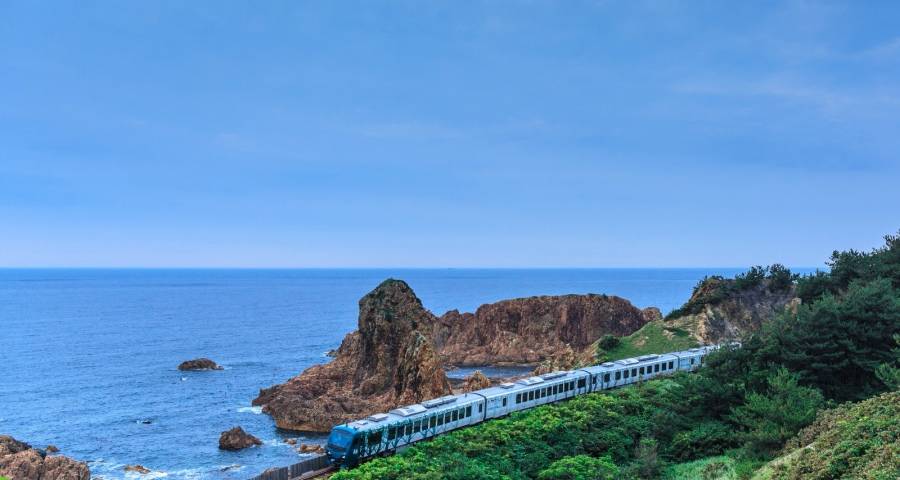 政策救市家电零售向好，海尔格力海信发力新宝莱克飞科美菱看多-家电圈官网