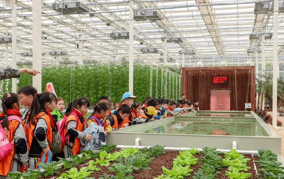 农业研学如何做