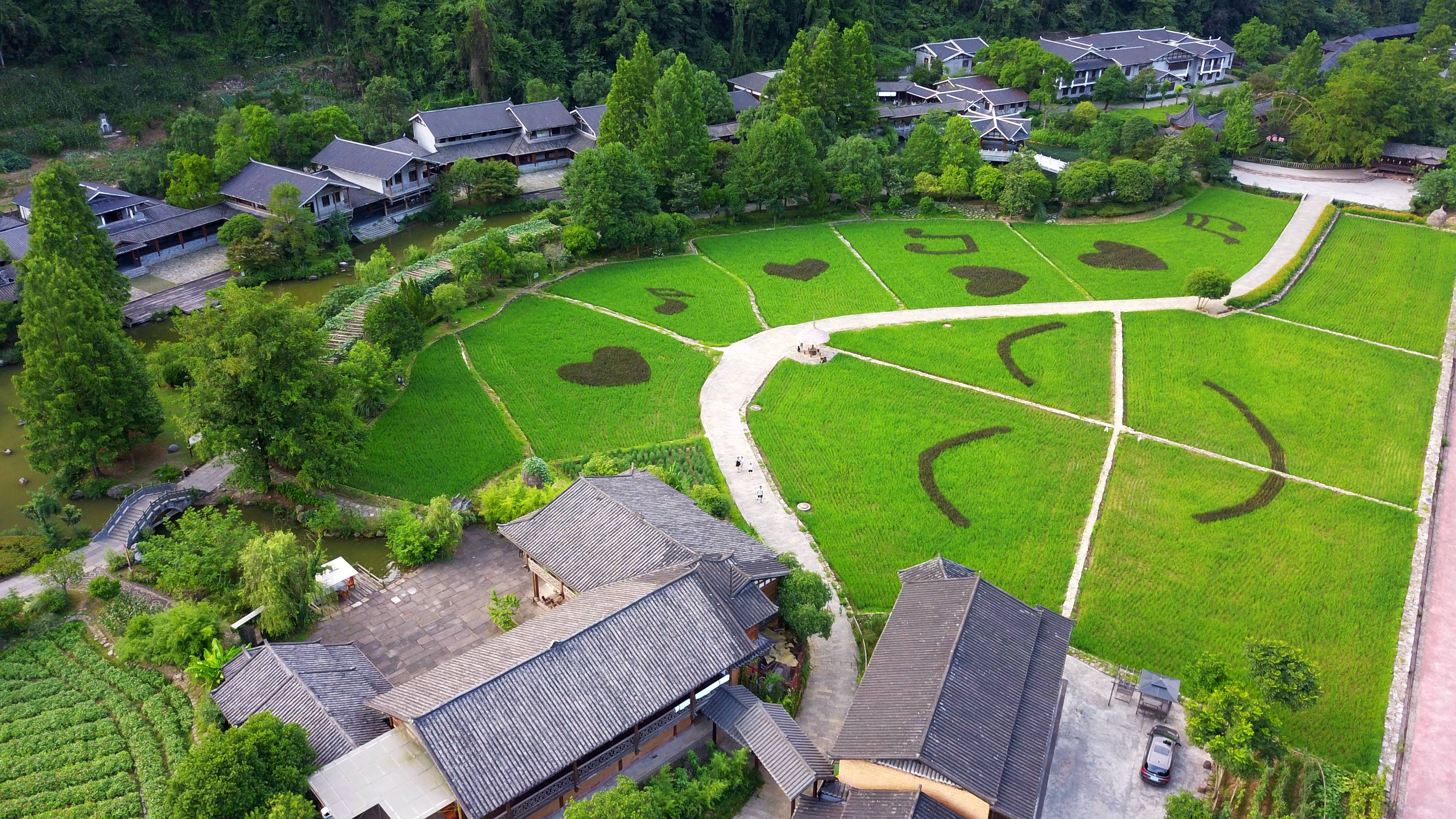 张家界黄龙洞景区的这方田园，竟然长出爱心、音符，还有笑脸......