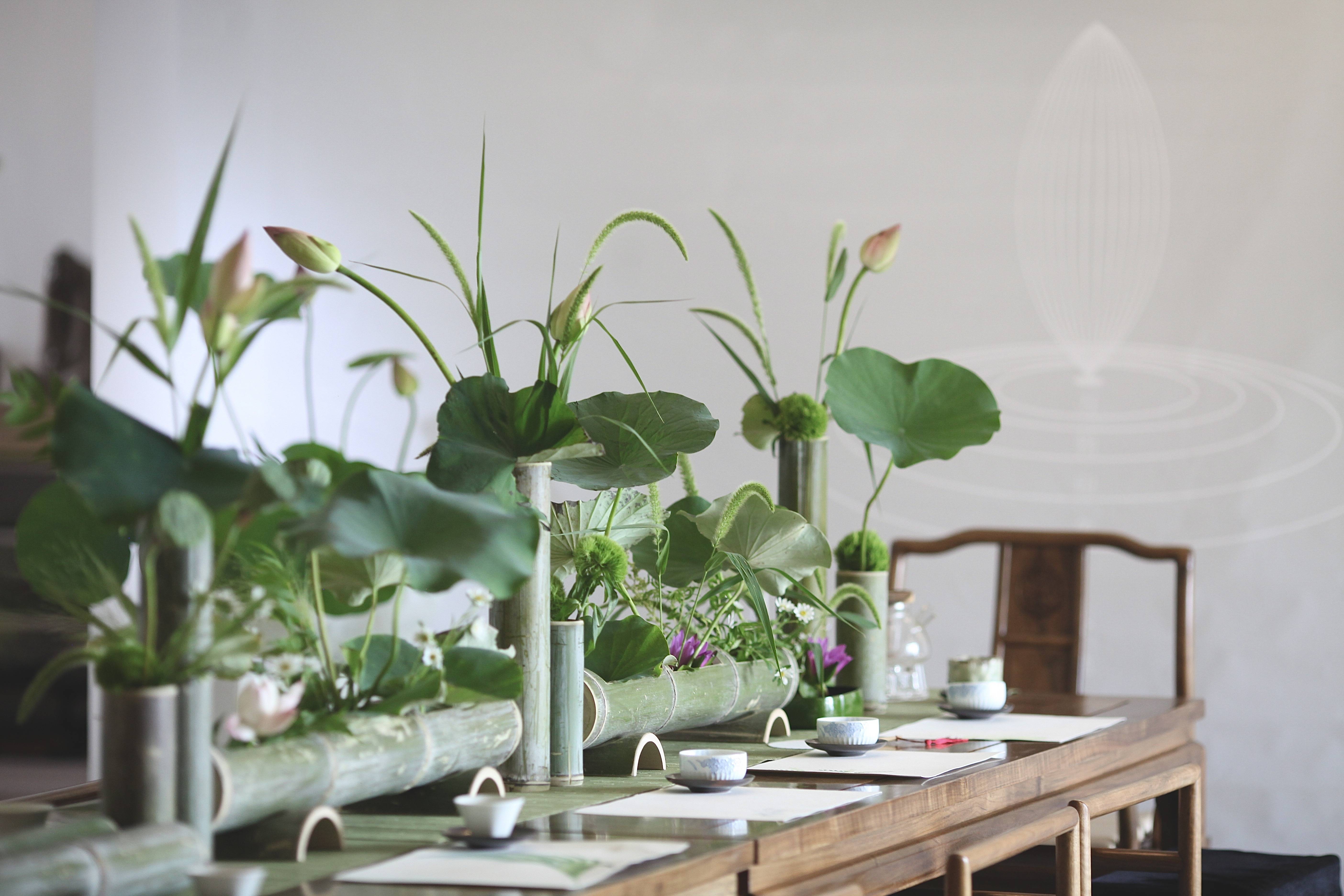 蘭印象支部夏日雅集·风动荷香|东方美学#茶会雅集花道布置