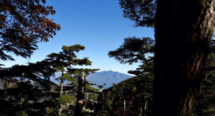 优质的家电经销商,从来不是严管出来而是共赢出来的-家电圈官网