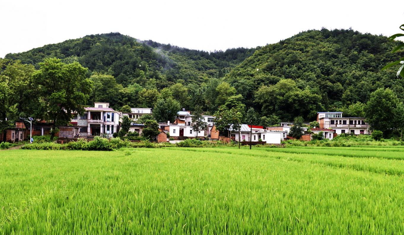 固始美丽村庄系列之齐山村_固始县_省会郑州市_大别山