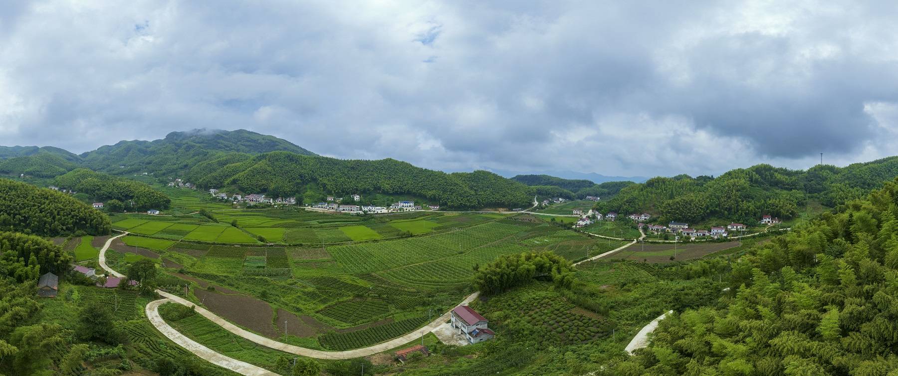 安徽省霍山县佛子岭镇留驾园村:壮大集体经济 助力乡村振兴_村民