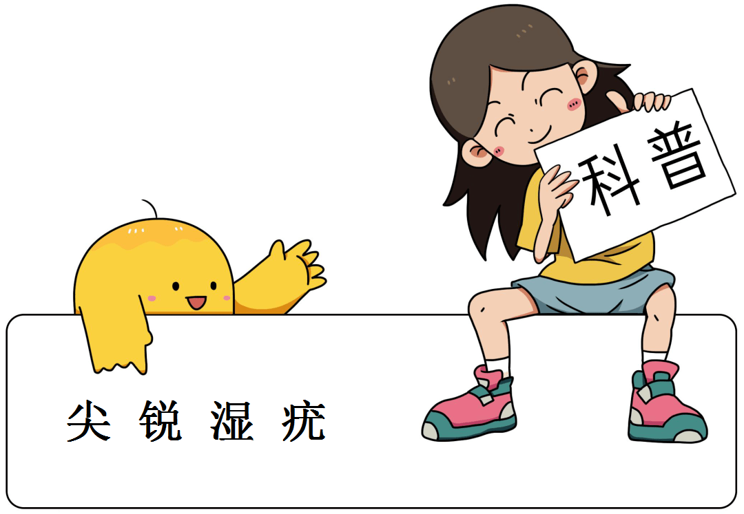 郑州合心医院:尖锐湿疣为什么会复发_治疗_患者_进行