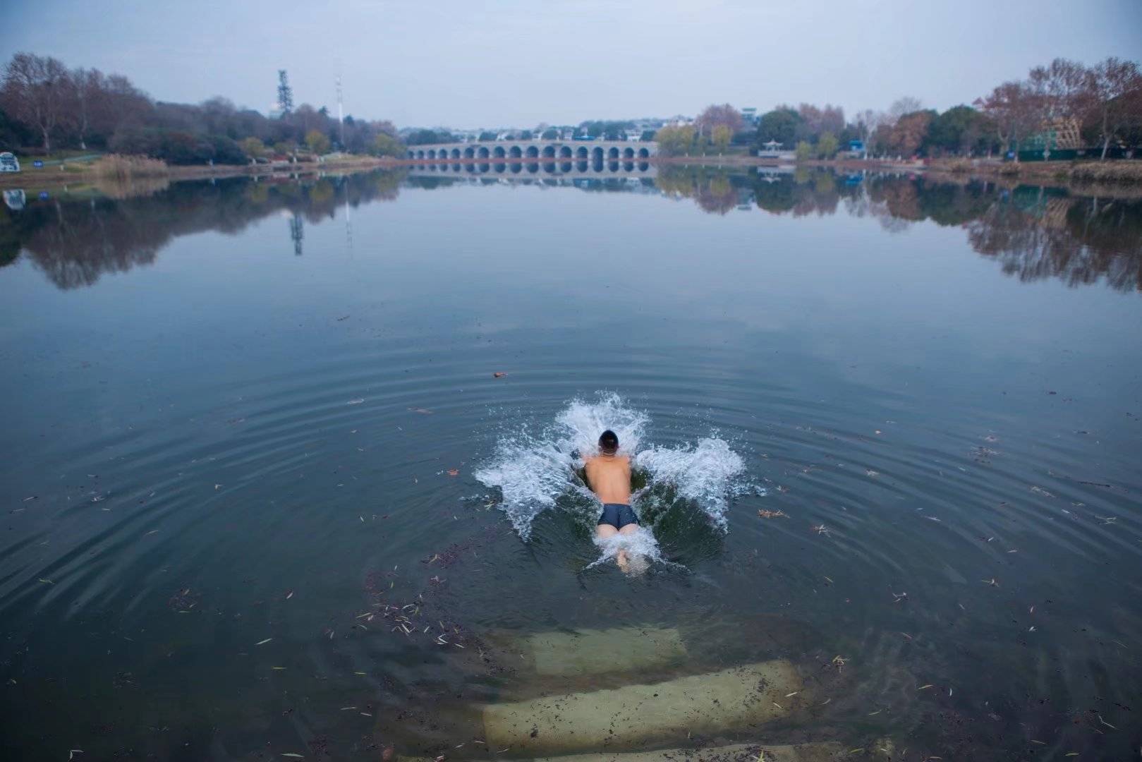 南京花神湖公园图片