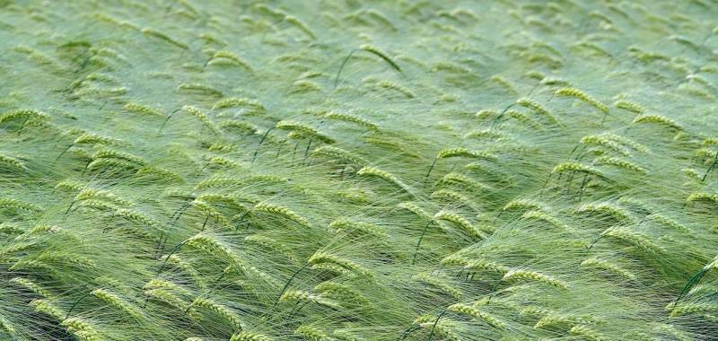 明明知道结果不太好，为何家电厂商今年还要拼命干？-家电圈官网