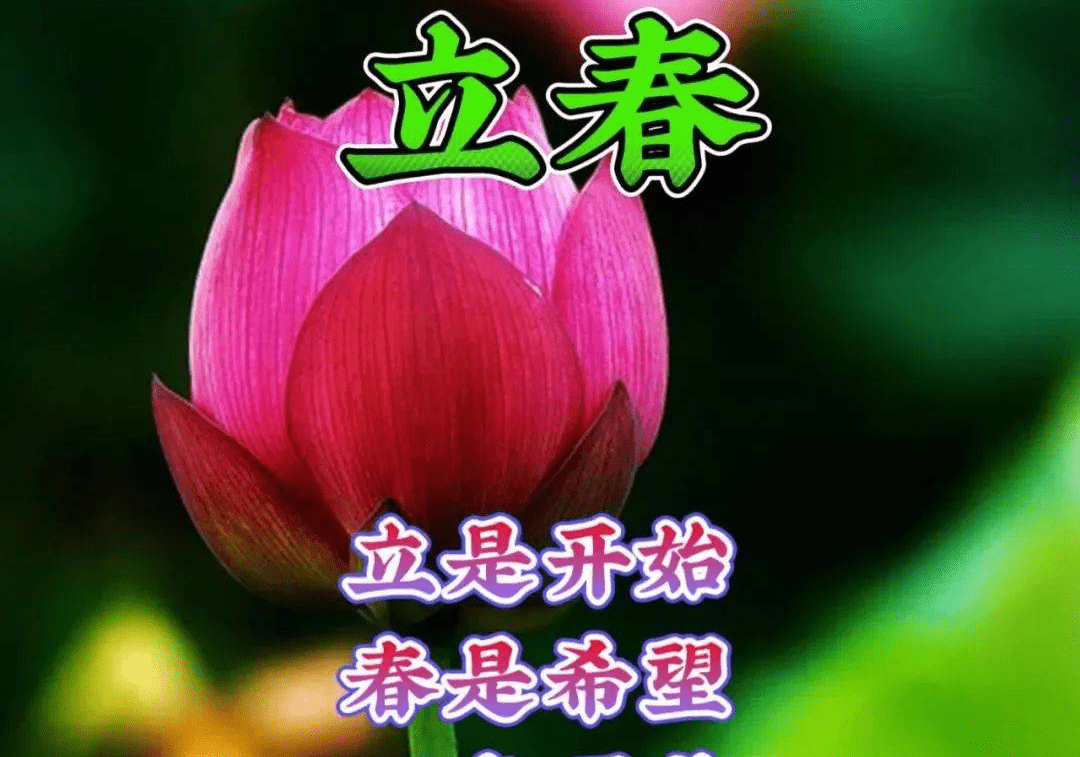 立春图片 祝福图片