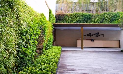 广东绿大师植物墙定制厂家,分享植物墙定制效果图!_设计_防水_服务