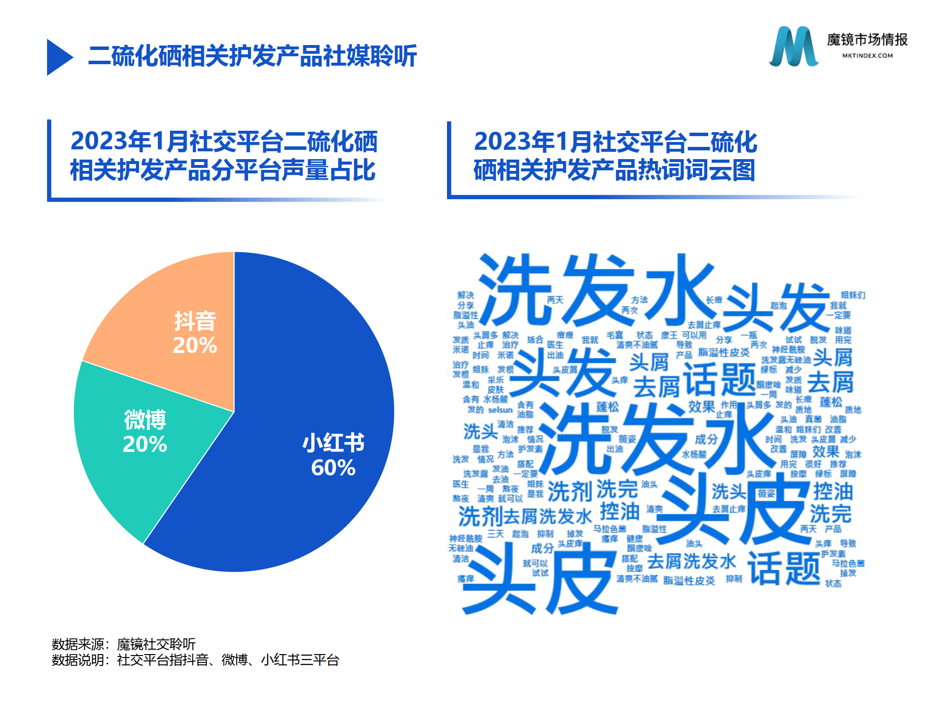 2023护发市场1月份高增长洞见（二硫化硒、除螨、侧柏叶）（附下载）