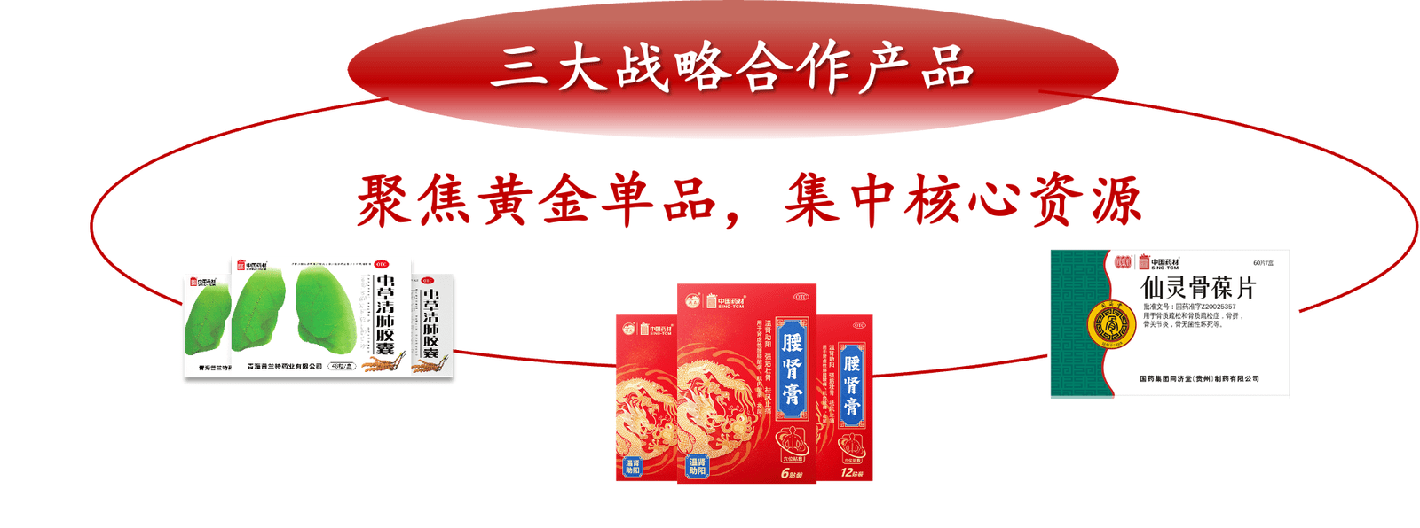 三大项目,共建品牌影响力买中药,认准"龙印中国药材"品牌标识"龙印