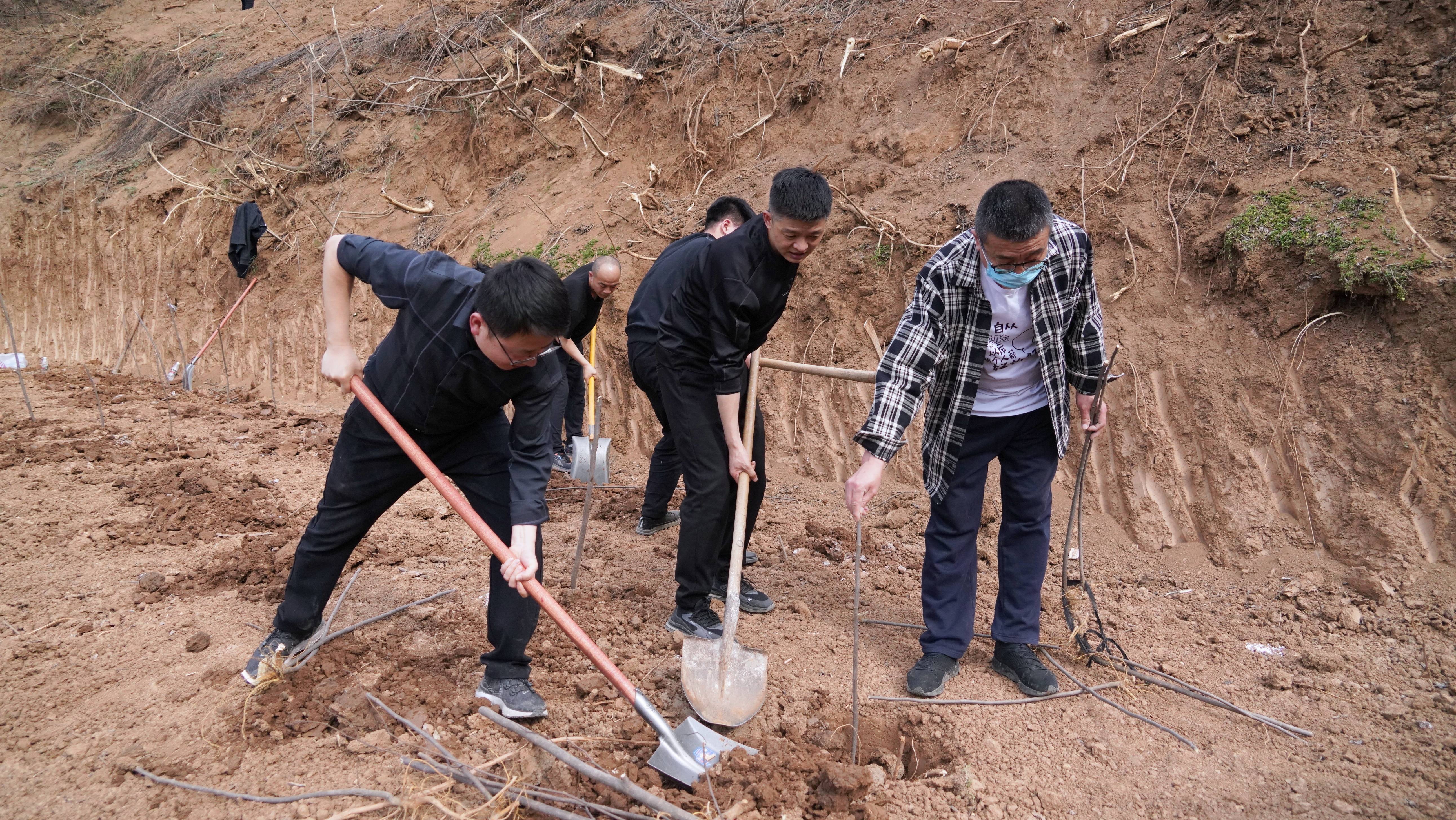 領導幹部們兩三個一組,五六個一群,挖坑,剷土,栽苗,埋土……動作嫻熟