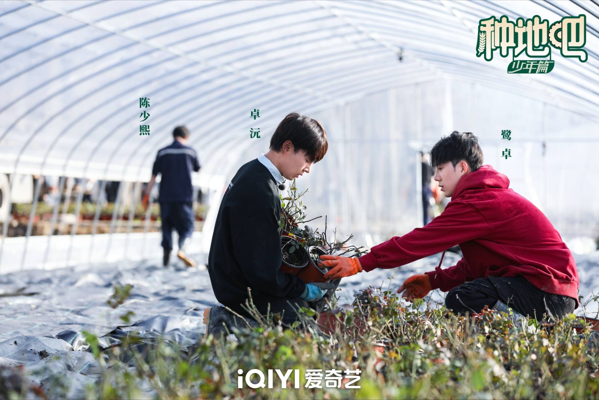 《种地吧》劳作纪实获中国青年报表扬 开辟乡村题材综艺新路线_徐志胜