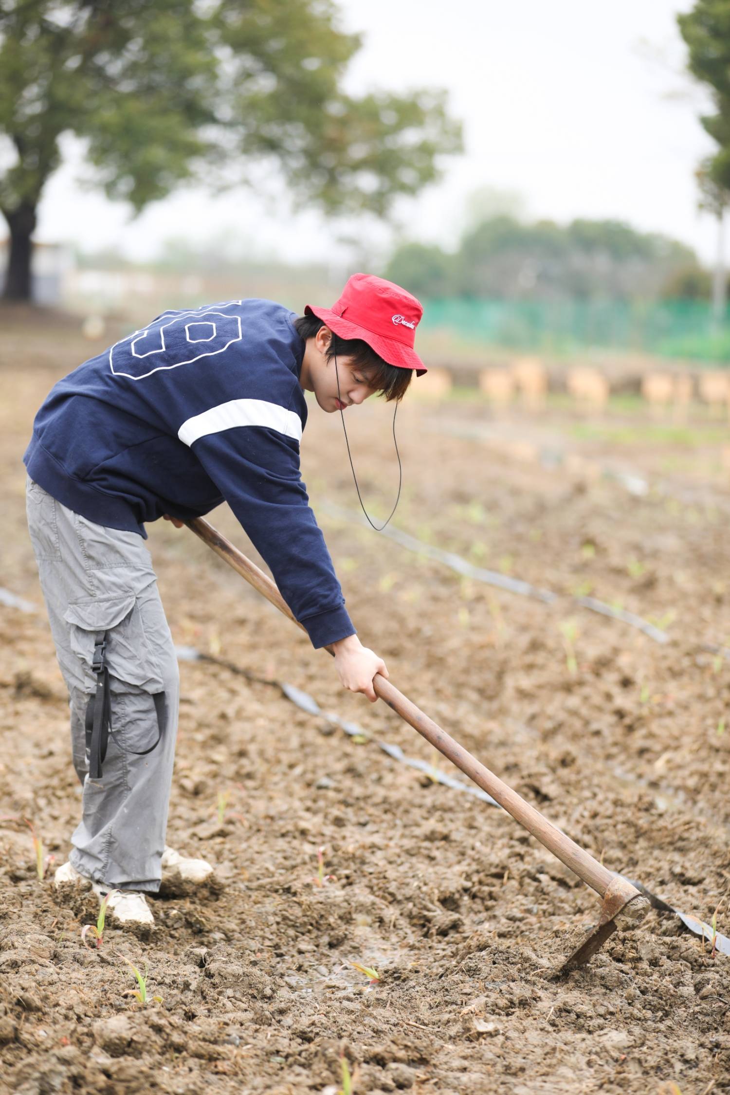 《种地吧》下期精彩:种植组三傻大闹玫瑰棚 与养殖组画风两极反转