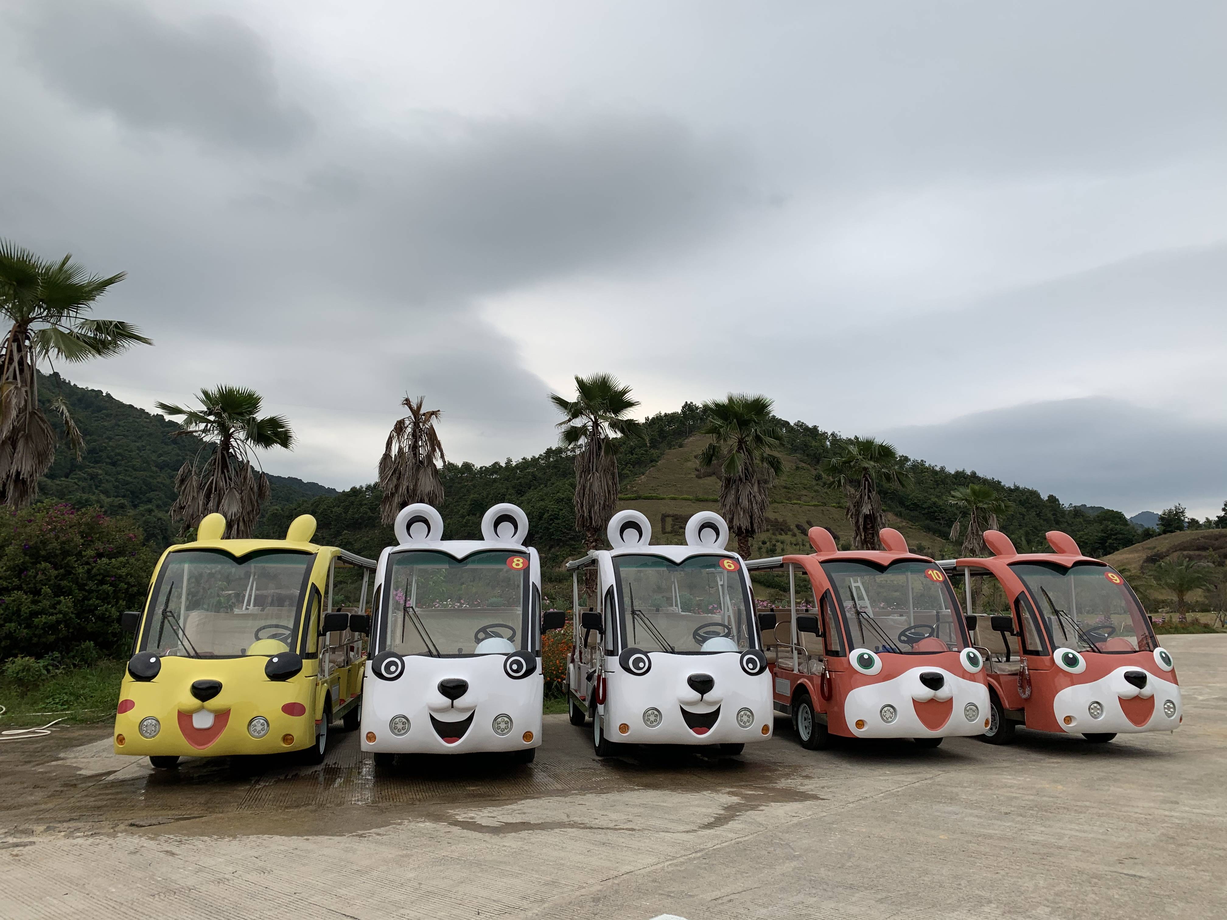 卡通造型电动观光车 燃油观光车应用场景与卡通观光车图片_搜狐汽车