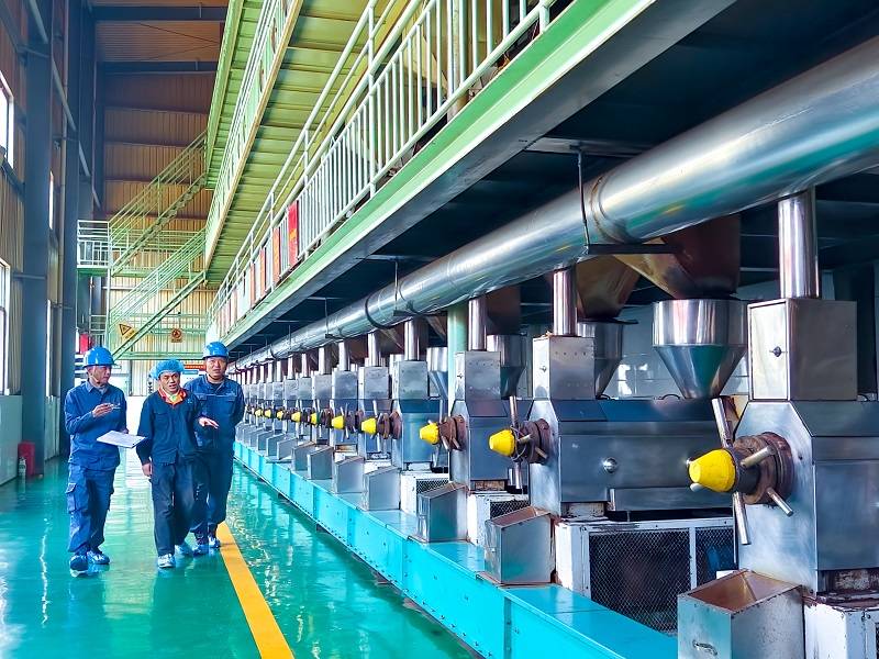 云南罗平:电助力,菜籽油加工业发展如火如荼_供电_生产_用电量