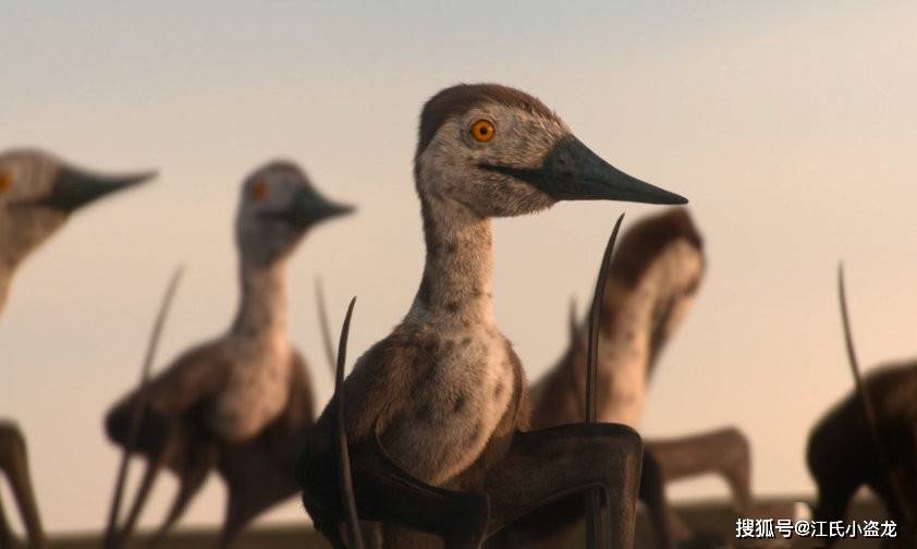 【古生物纪录片】《史前星球》的翼龙们!_哈特兹哥_风神_翠鸟