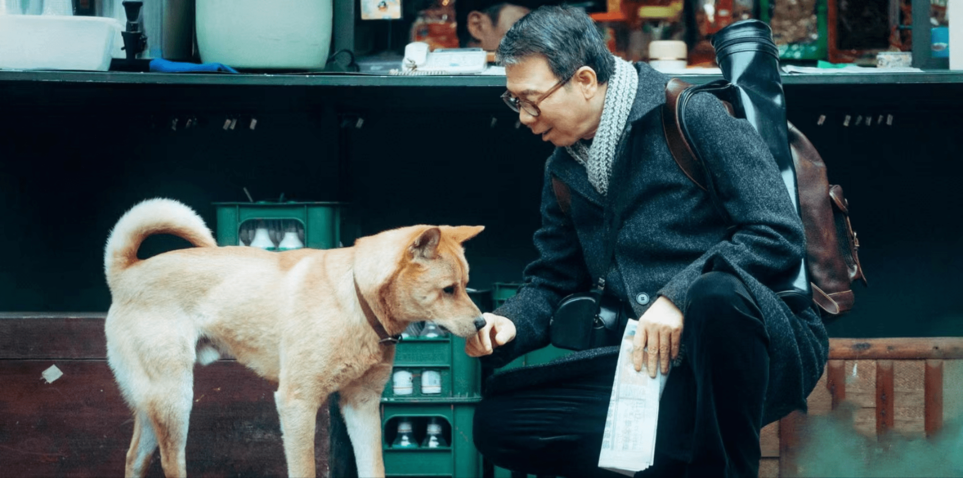 枫叶传媒:《忠犬八公》本土化,中国式主犬情深让观众潸然泪下_故事