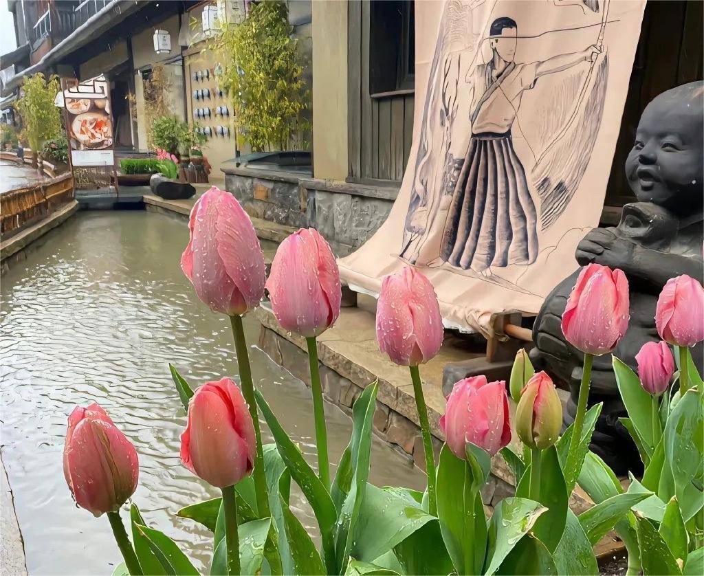 期权、期货、债券分别是什么，有什么区别？_搜狐网